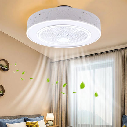 Contemporary Ceiling Ceiling Fan and Light