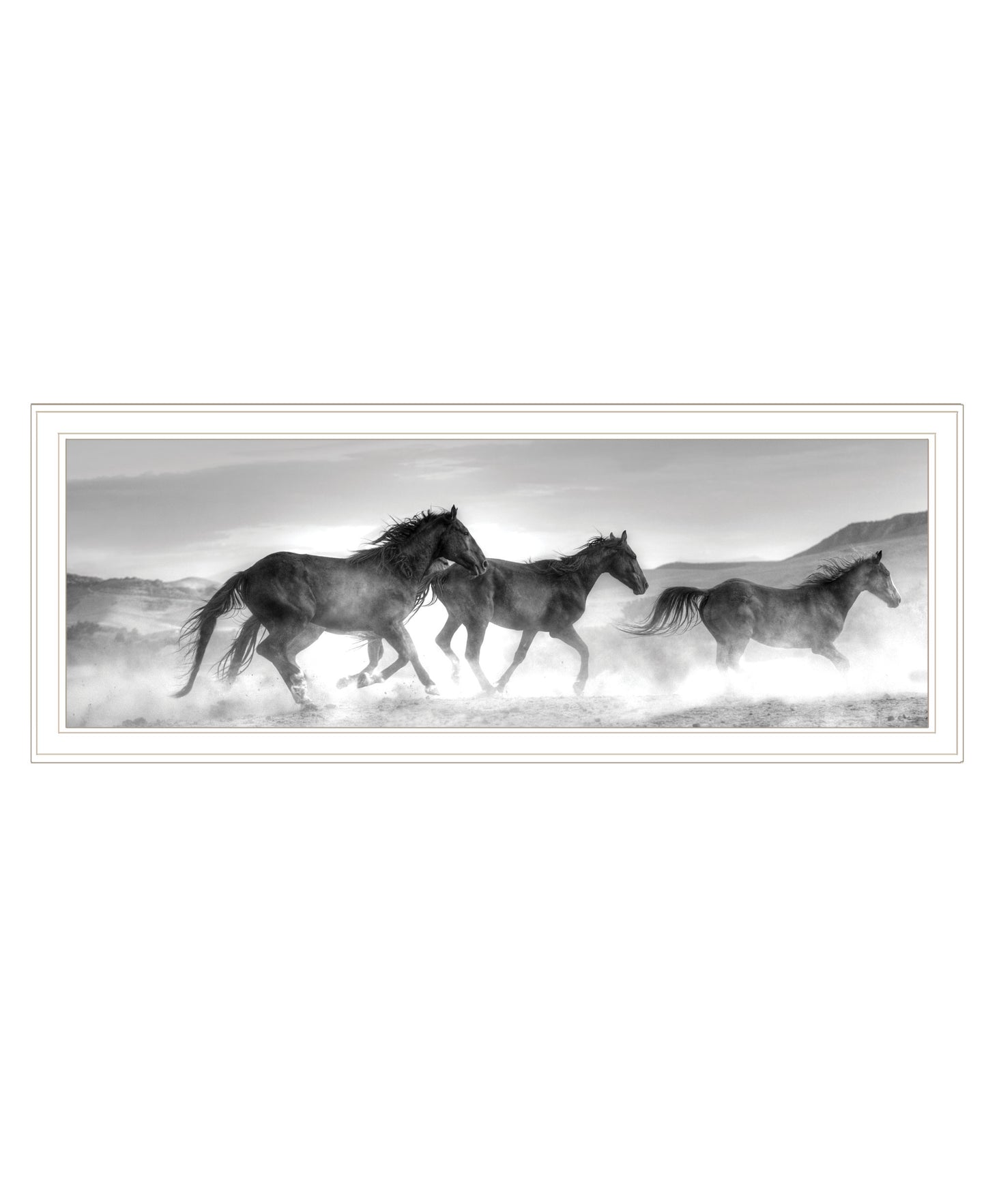 Horses Rolling By White Framed Print Wall Art