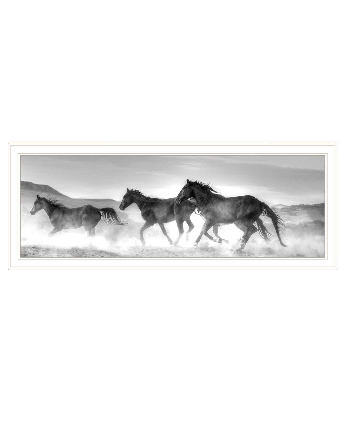 Horses Rolling By White Framed Print Wall Art