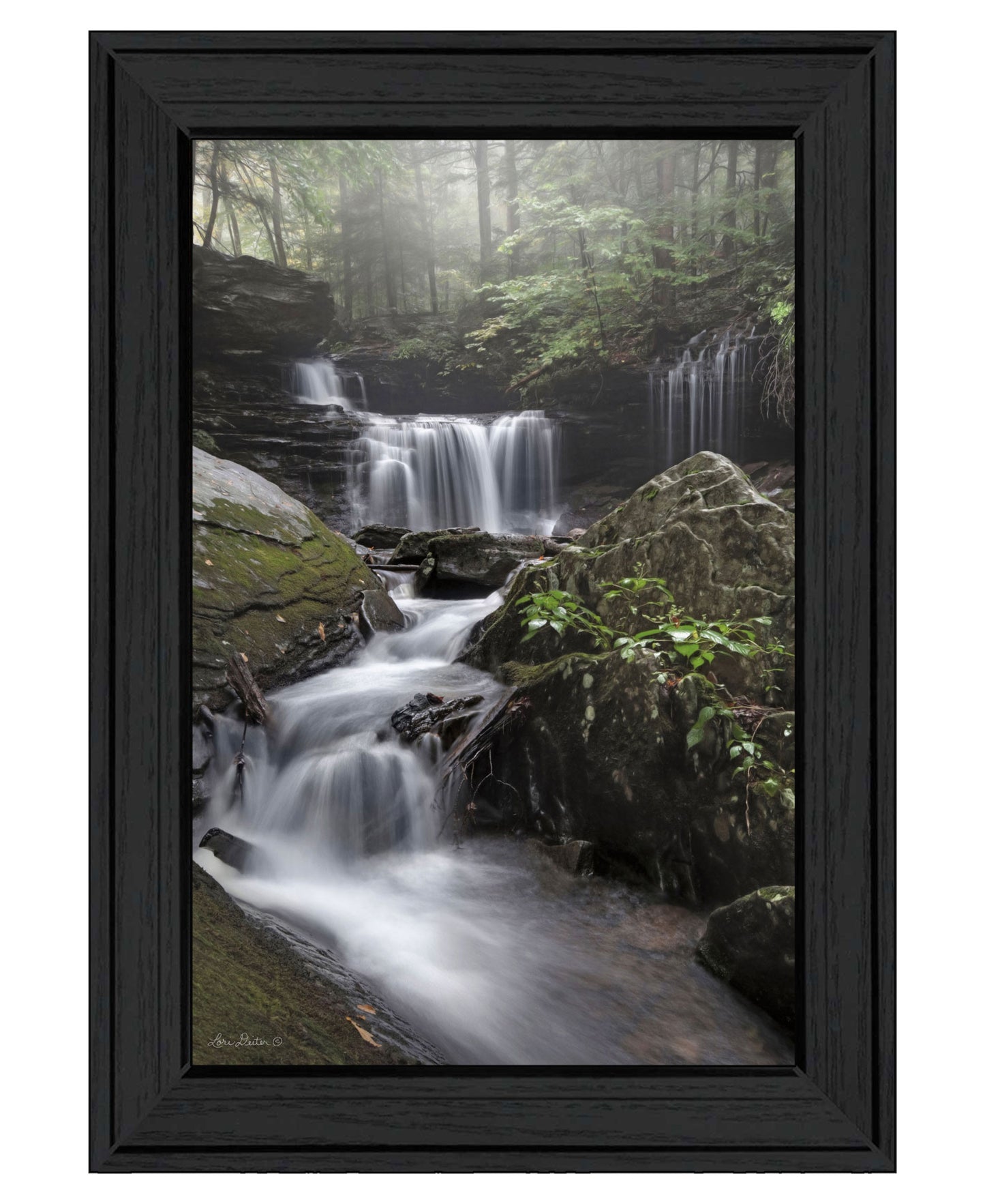 Ricketts Waterfall Black Framed Print Wall Art