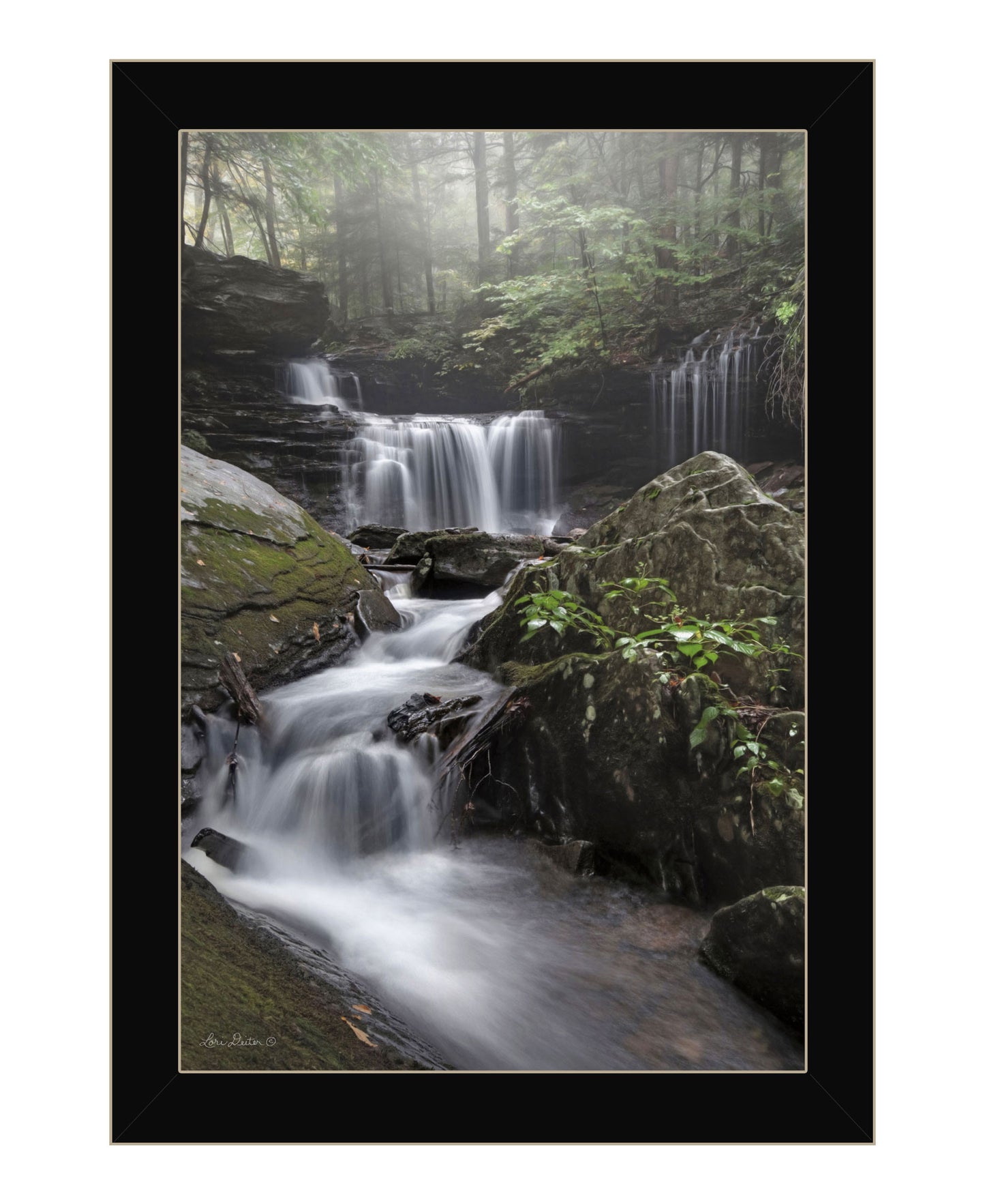 Ricketts Waterfall Black Framed Print Wall Art