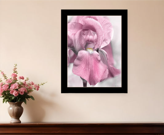 Pink Iris Black Framed Print Wall Art