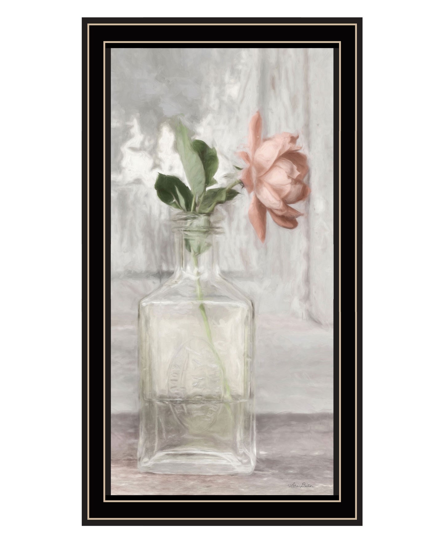 Cottage Peach Rose Black Framed Print Wall Art