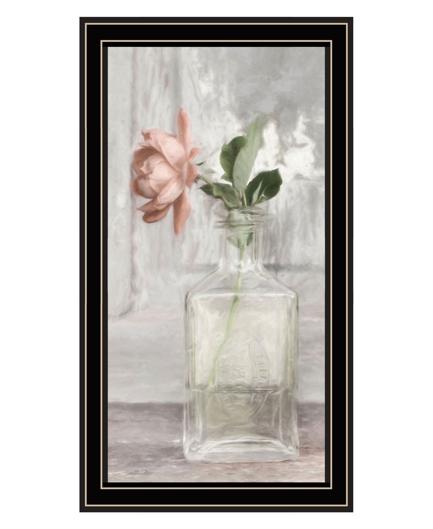 Cottage Peach Rose Black Framed Print Wall Art